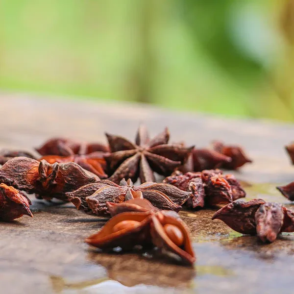 Badiane – Anis Etoilé - Vins Rouges Harmonieux pour Chaque Occasion