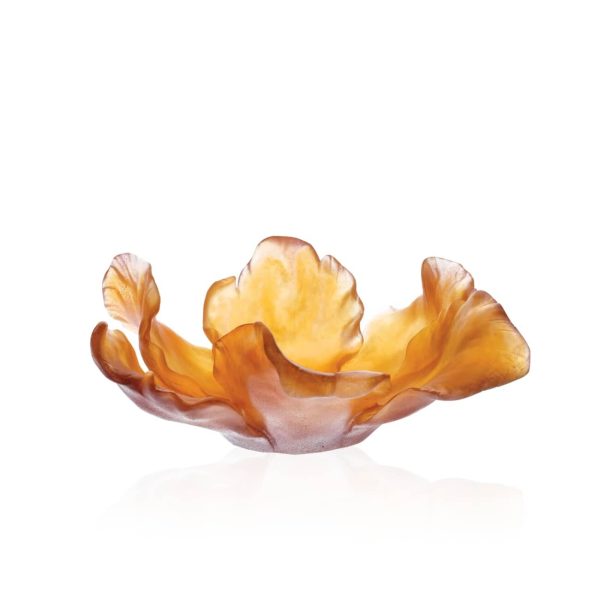 Amber tulip bowl daum - Vins Rouges Harmonieux pour Chaque Occasion