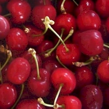 Cerisier – Van – Bio - Vins Rouges Harmonieux pour Chaque Occasion Cerisier – Van – Bio - Vins Rouges Harmonieux pour Chaque Occasion