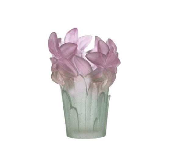 Amaryllis vert jade vase daum - Vins Rouges Harmonieux pour Chaque Occasion