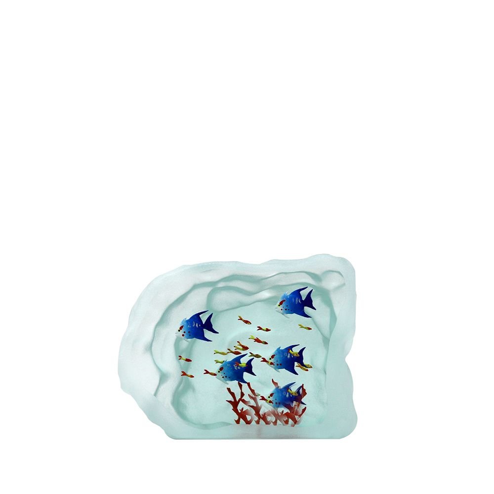 Aquarium poissons verre yves trucchi - Vins Rouges Harmonieux pour Chaque Occasion Aquarium poissons verre yves trucchi - Vins Rouges Harmonieux pour Chaque Occasion