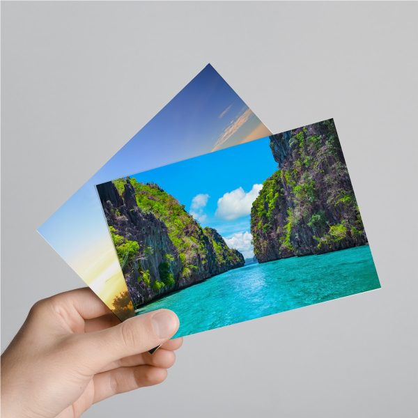 Cartes postales - Vins Rouges Harmonieux pour Chaque Occasion