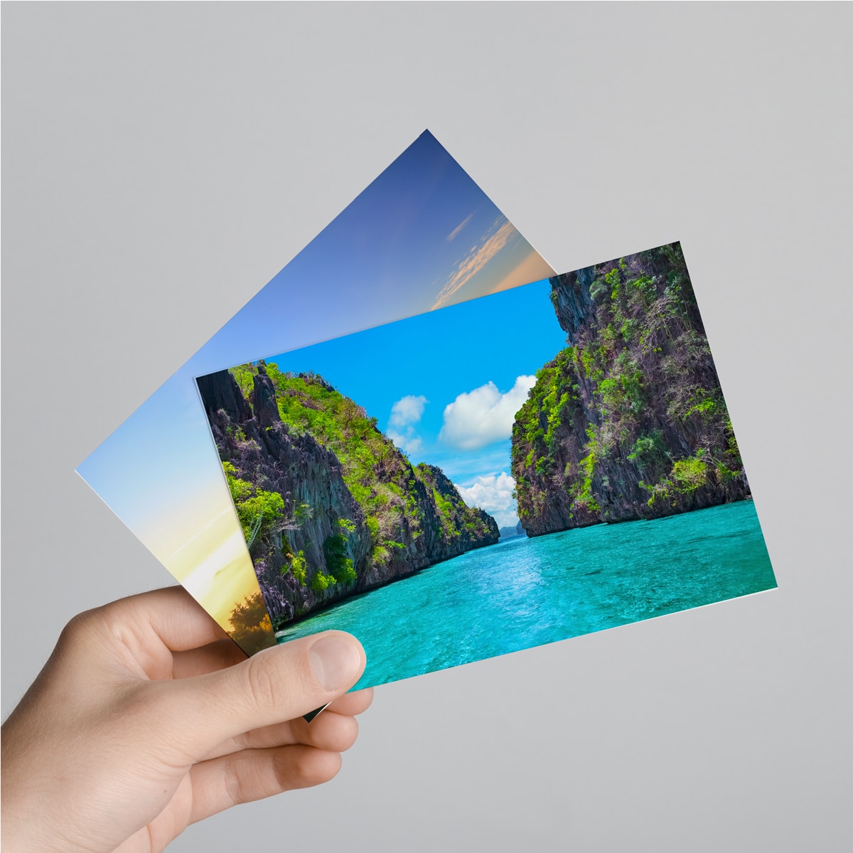 Cartes postales - Vins Rouges Harmonieux pour Chaque Occasion Cartes postales - Vins Rouges Harmonieux pour Chaque Occasion