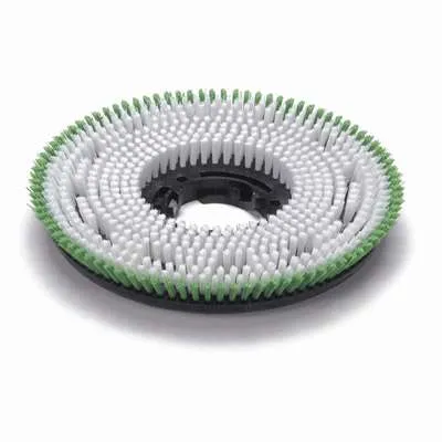 Brosse mono shampoing moquette Diam 450mm NUMATIC - Vins Rouges Harmonieux pour Chaque Occasion Brosse mono shampoing moquette Diam 450mm NUMATIC - Vins Rouges Harmonieux pour Chaque Occasion