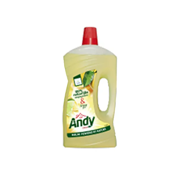 Andy Allesreiniger Citroen (6x 1 liter) - Vins Rouges Harmonieux pour Chaque Occasion Andy Allesreiniger Citroen (6x 1 liter) - Vins Rouges Harmonieux pour Chaque Occasion