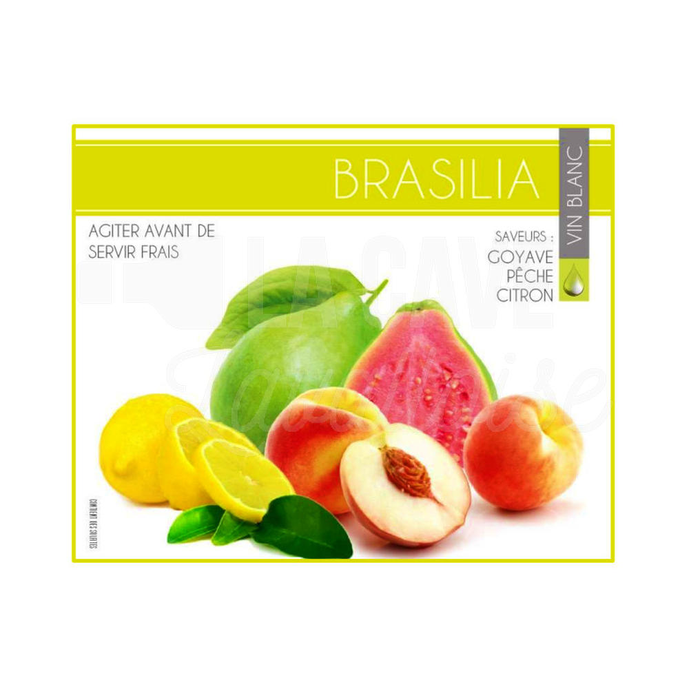 BRASILIA 12° – 5 LITRES – Goyave, Pêche, Citron - Vins Rouges Harmonieux pour Chaque Occasion BRASILIA 12° – 5 LITRES – Goyave, Pêche, Citron - Vins Rouges Harmonieux pour Chaque Occasion