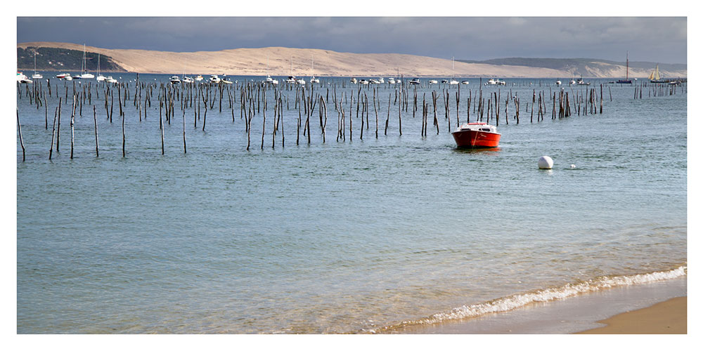 Carte postale – La Dune du Pyla – Bassin d’Arcachon - Vins Rouges Harmonieux pour Chaque Occasion Carte postale – La Dune du Pyla – Bassin d’Arcachon - Vins Rouges Harmonieux pour Chaque Occasion