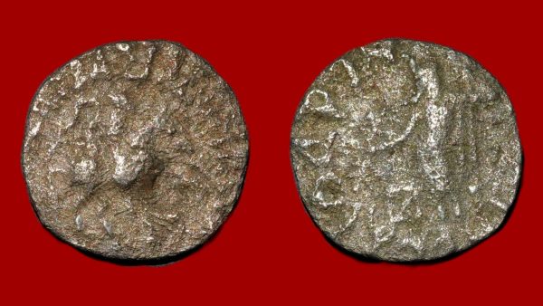 Azès I – Drachme - Vins Rouges Harmonieux pour Chaque Occasion
