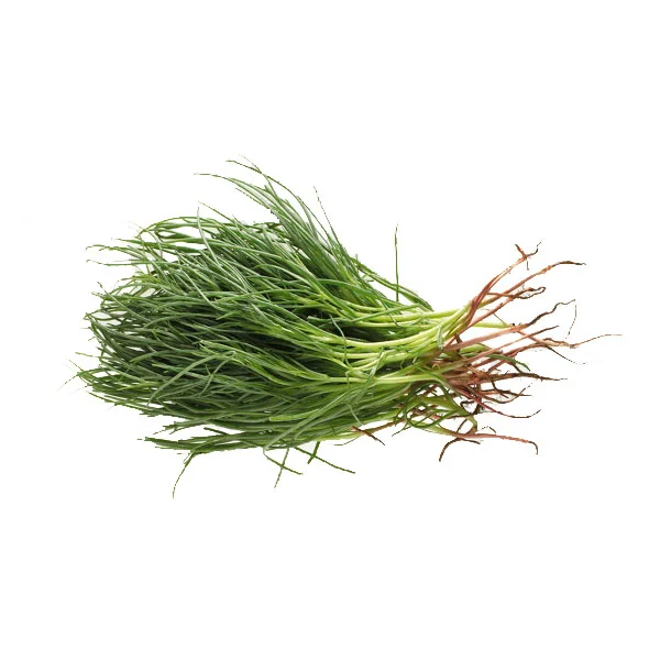 Agretti - Vins Rouges Harmonieux pour Chaque Occasion Agretti - Vins Rouges Harmonieux pour Chaque Occasion