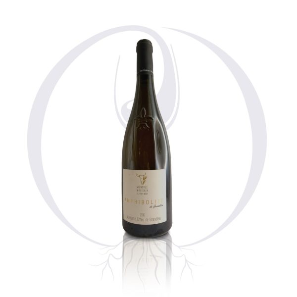 Amphibolite - Vins Rouges Harmonieux pour Chaque Occasion