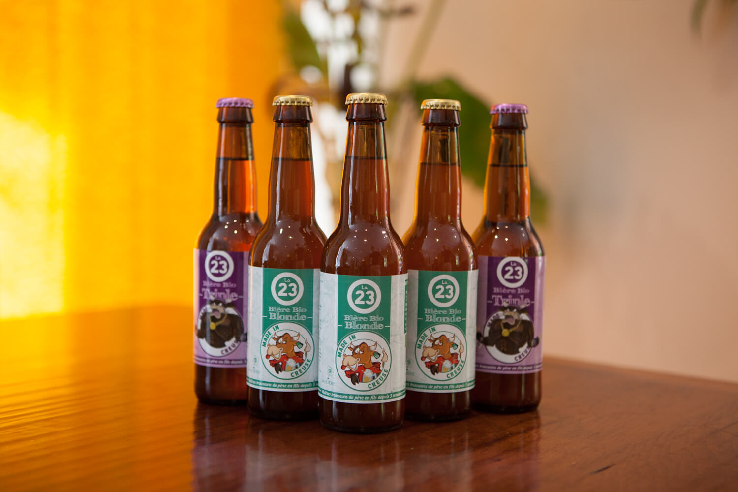 Bière bio la 23 - Vins Rouges Harmonieux pour Chaque Occasion Bière bio la 23 - Vins Rouges Harmonieux pour Chaque Occasion