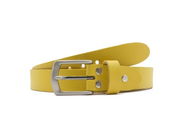 Ceinture la guêpe en cuir jaune 1053 Choisir - Vins Rouges Harmonieux pour Chaque Occasion