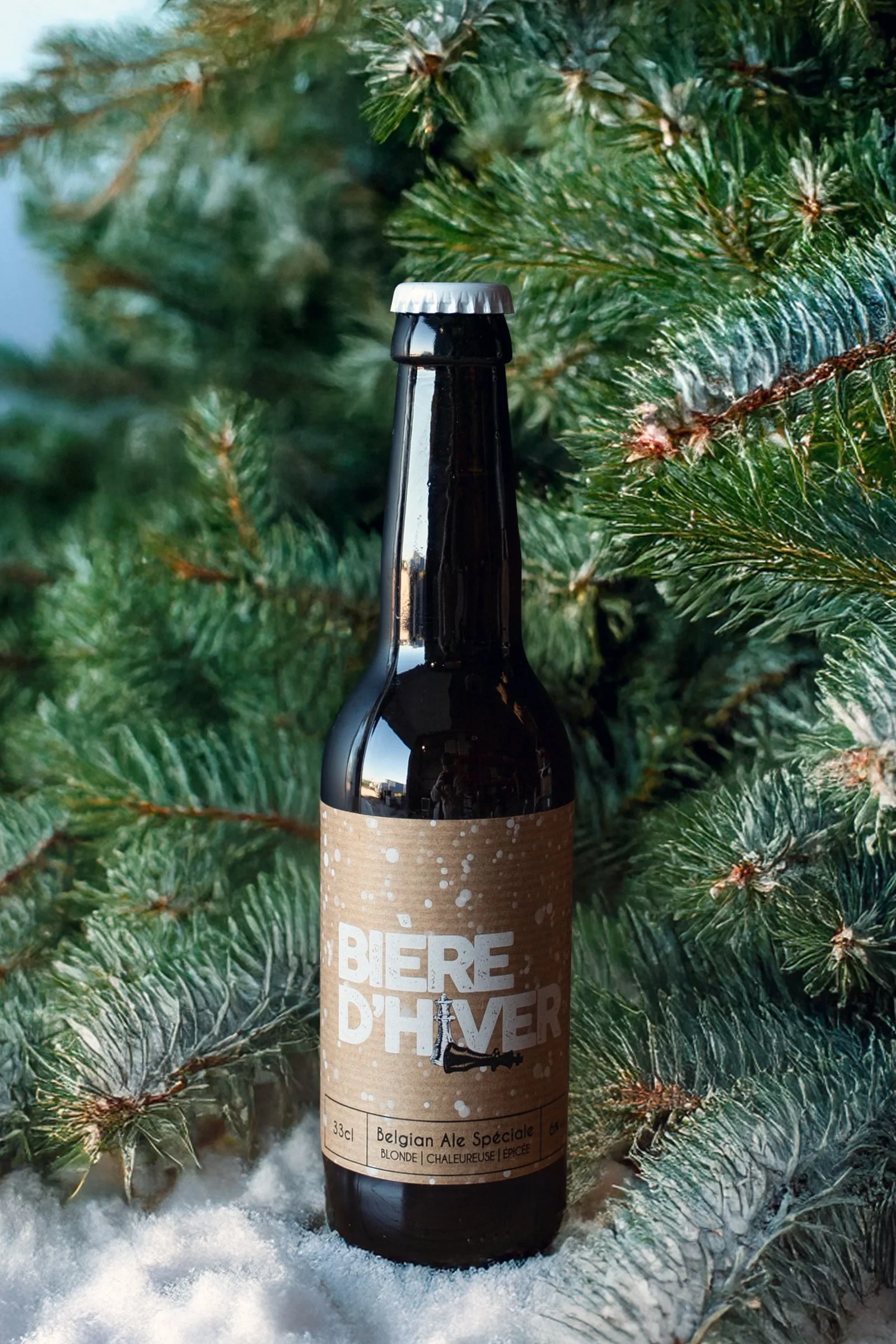 Bière d’Hiver BIO – 0.75L - Vins Rouges Harmonieux pour Chaque Occasion Bière d’Hiver BIO – 0.75L - Vins Rouges Harmonieux pour Chaque Occasion