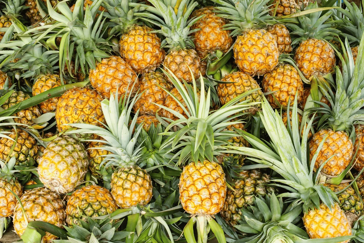 ANANAS SWEET - Vins Rouges Harmonieux pour Chaque Occasion ANANAS SWEET - Vins Rouges Harmonieux pour Chaque Occasion