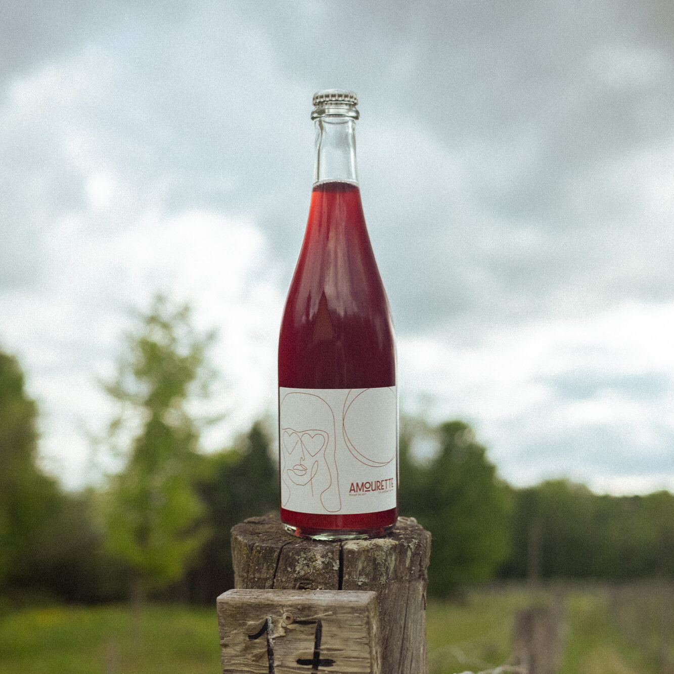 amourette 2024 - Vins Rouges Harmonieux pour Chaque Occasion amourette 2024 - Vins Rouges Harmonieux pour Chaque Occasion