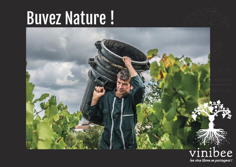 Carte cadeau 100€ - Vins Rouges Harmonieux pour Chaque Occasion Carte cadeau 100€ - Vins Rouges Harmonieux pour Chaque Occasion