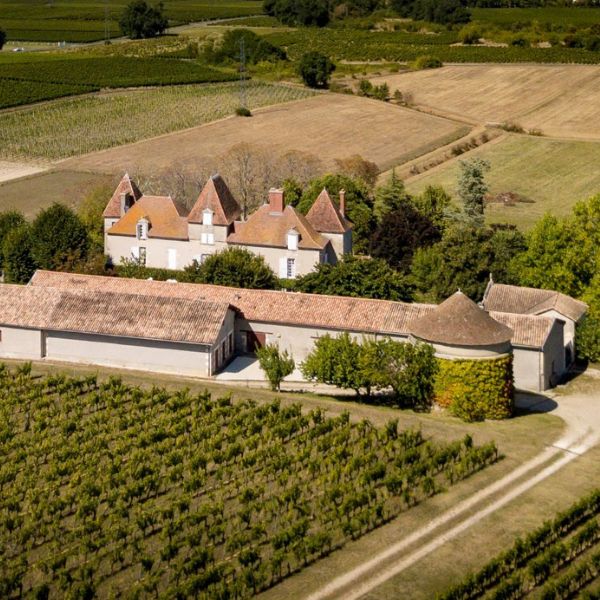 Apéritif Vigneron - Vins Rouges Harmonieux pour Chaque Occasion Apéritif Vigneron - Vins Rouges Harmonieux pour Chaque Occasion