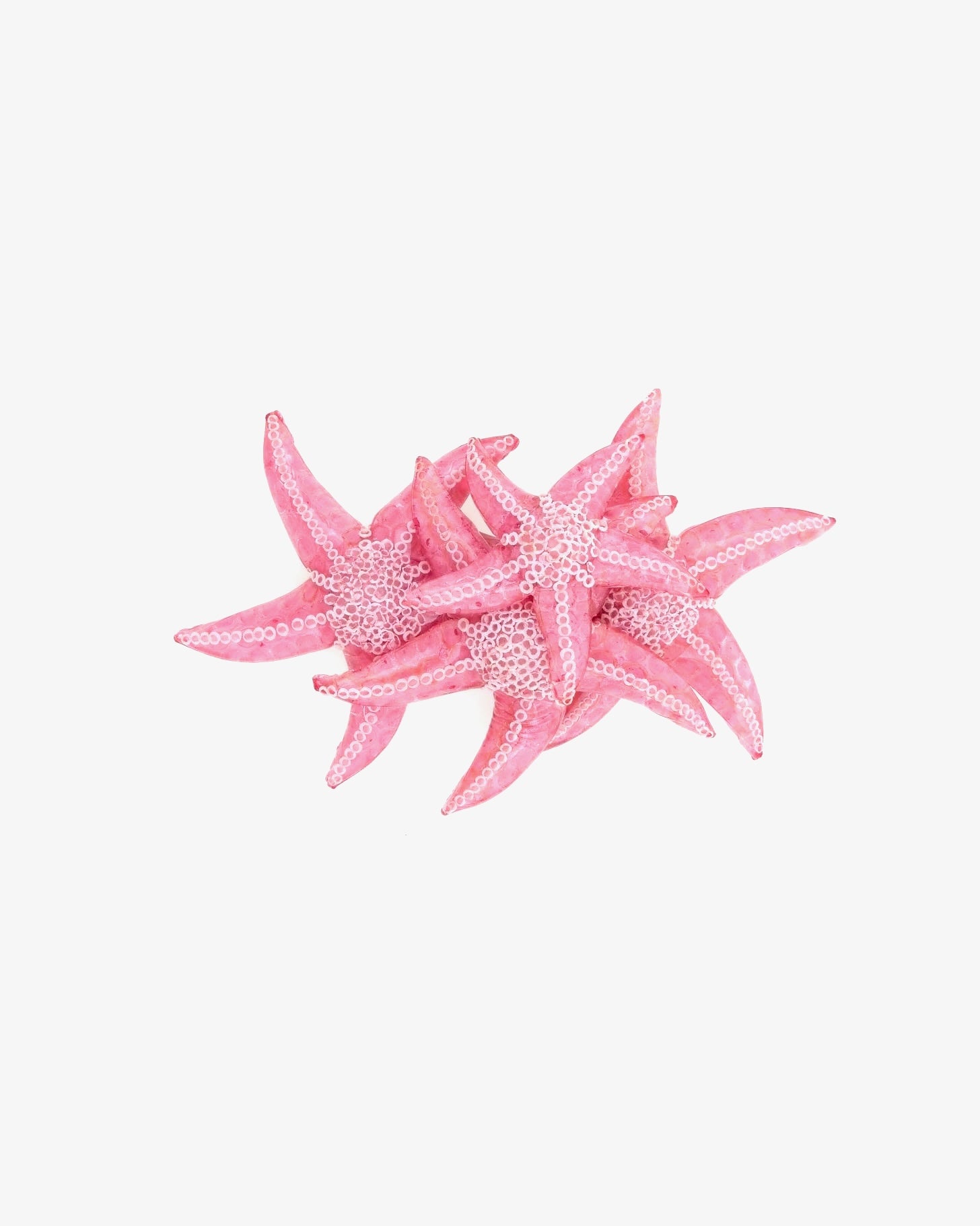 Broche accessoire Ariel - Vins Rouges Harmonieux pour Chaque Occasion Broche accessoire Ariel - Vins Rouges Harmonieux pour Chaque Occasion