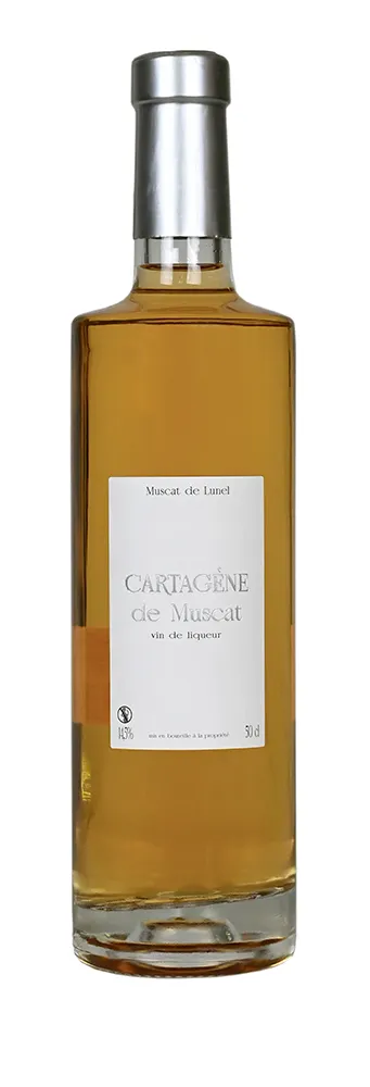 Cartagène de Muscat - Vins Rouges Harmonieux pour Chaque Occasion Cartagène de Muscat - Vins Rouges Harmonieux pour Chaque Occasion