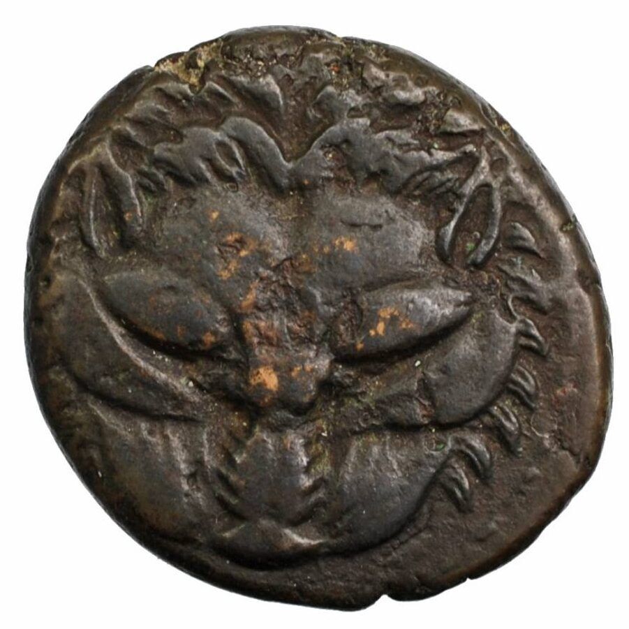 Bruttium Rhegium bronze - Vins Rouges Harmonieux pour Chaque Occasion Bruttium Rhegium bronze - Vins Rouges Harmonieux pour Chaque Occasion