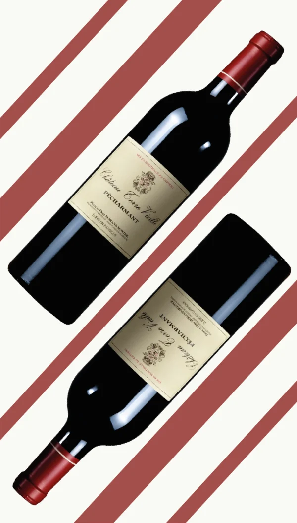Carton panaché Château Terre Vieille 3×2020 3×2021 - Vins Rouges Harmonieux pour Chaque Occasion