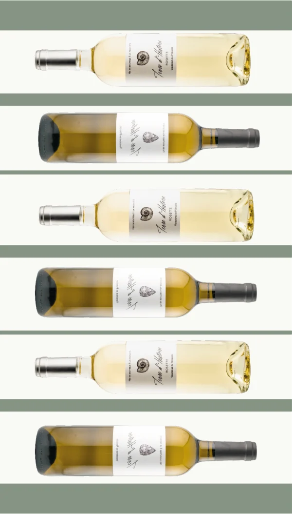 Carton Duo Rosette & Blanc sec - Vins Rouges Harmonieux pour Chaque Occasion