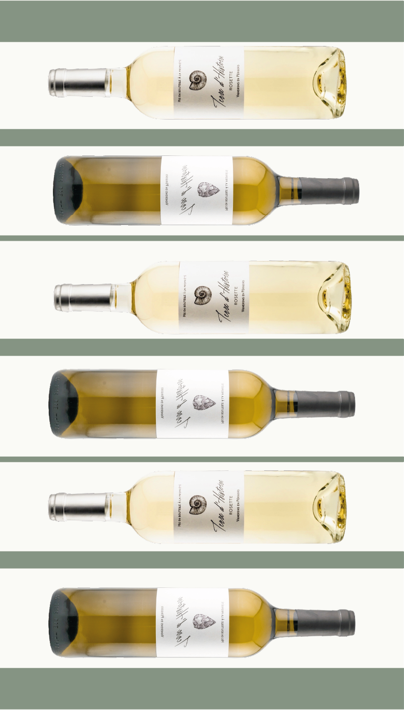 Carton Duo Rosette & Blanc sec - Vins Rouges Harmonieux pour Chaque Occasion Carton Duo Rosette & Blanc sec - Vins Rouges Harmonieux pour Chaque Occasion