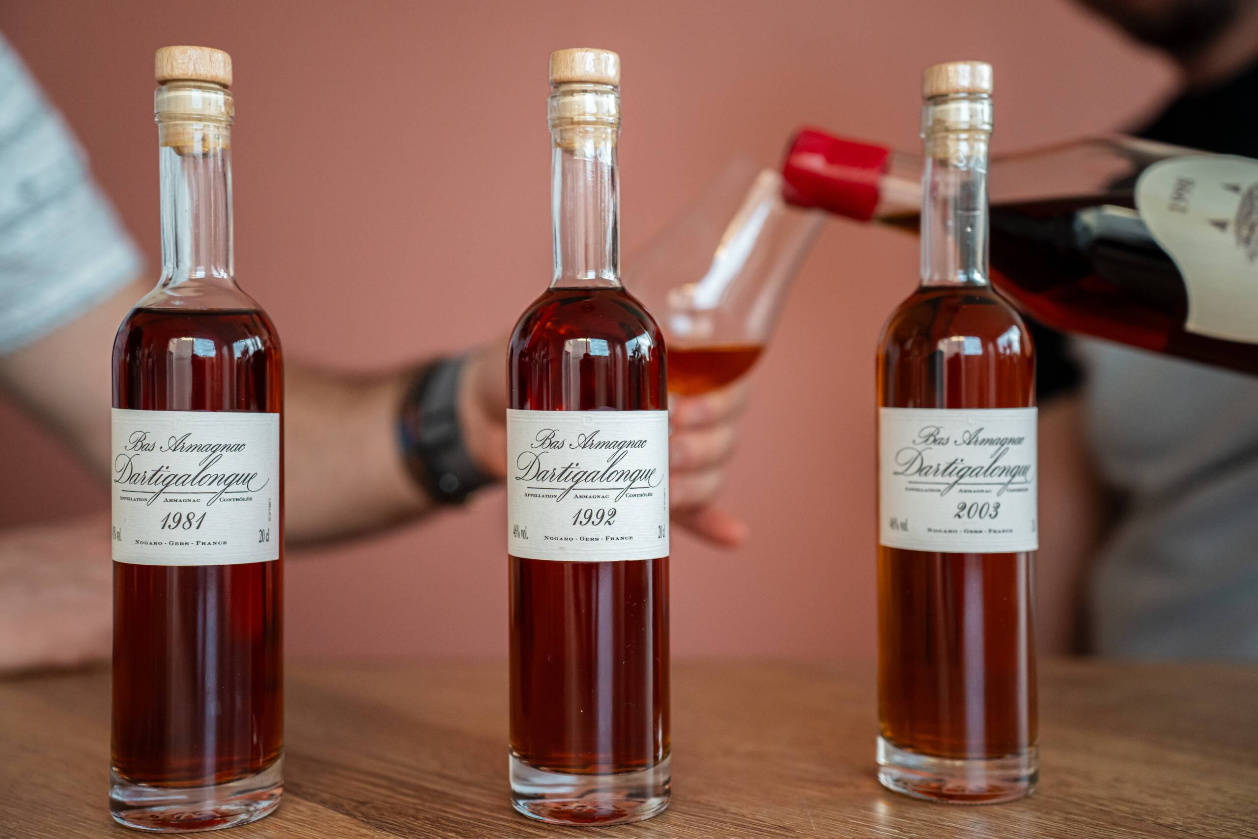 Atelier d’Octobre/ Armagnac - Vins Rouges Harmonieux pour Chaque Occasion Atelier d’Octobre/ Armagnac - Vins Rouges Harmonieux pour Chaque Occasion