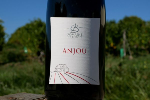Anjou Rouge - Vins Rouges Harmonieux pour Chaque Occasion