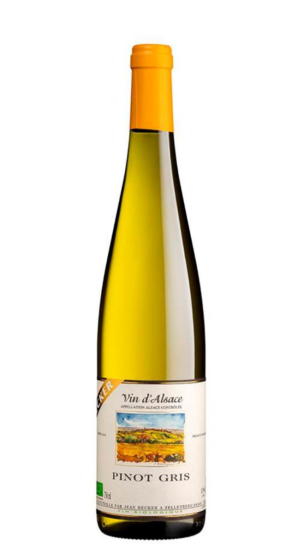 Alsace Pinot Gris 2023 - Vins Rouges Harmonieux pour Chaque Occasion