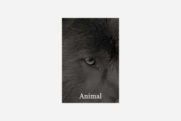 Animal - Vins Rouges Harmonieux pour Chaque Occasion