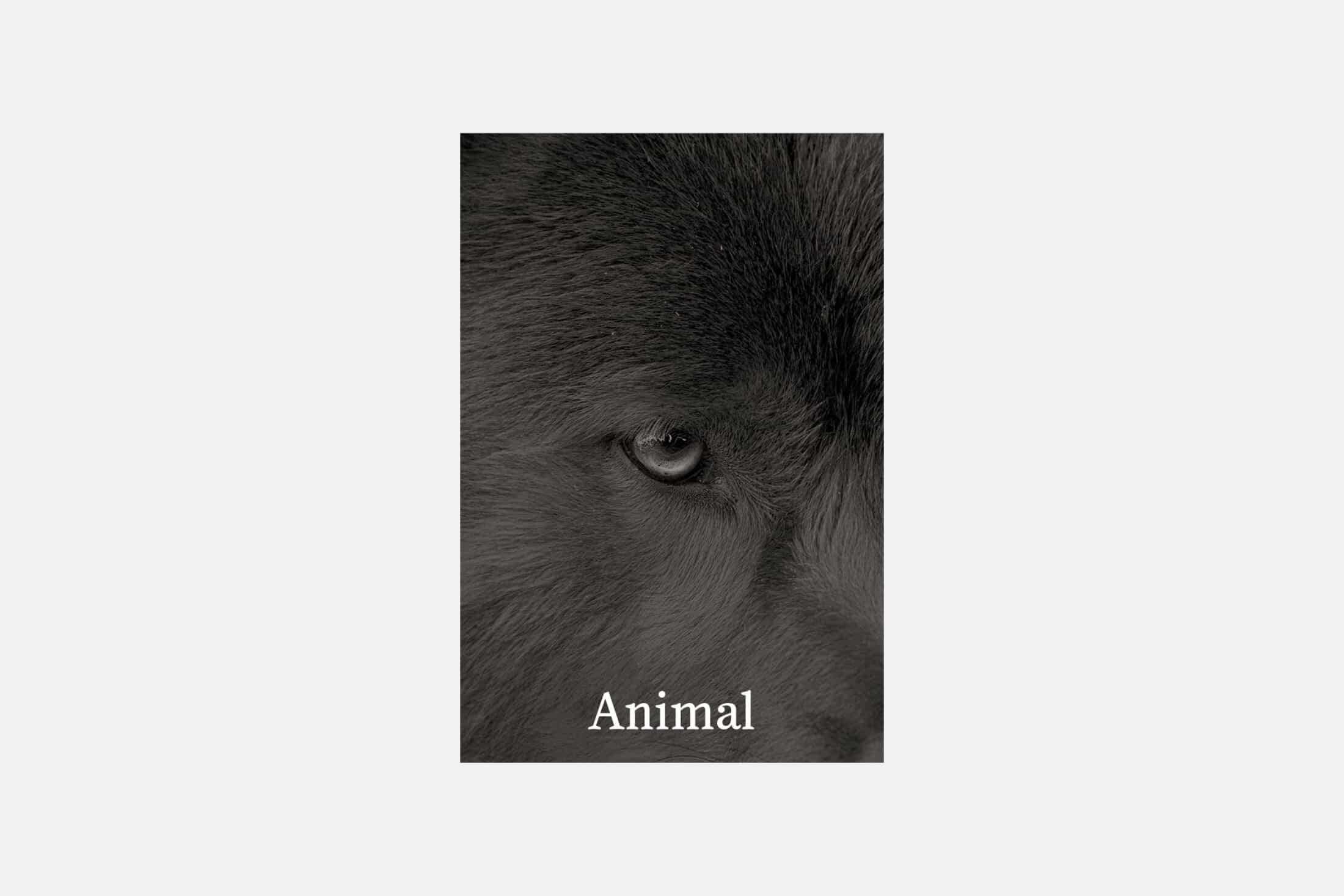 Animal - Vins Rouges Harmonieux pour Chaque Occasion Animal - Vins Rouges Harmonieux pour Chaque Occasion