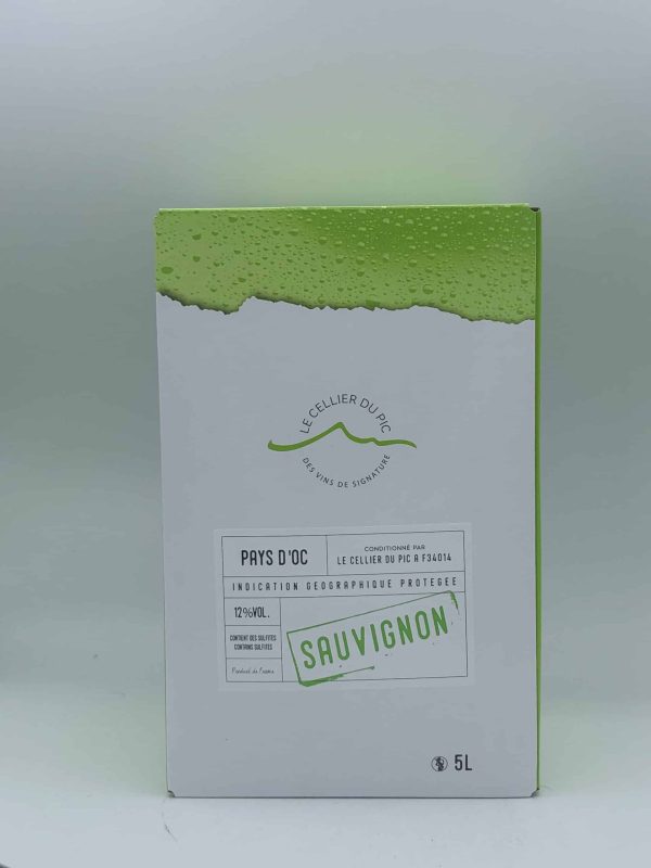 CELLIER DU PIC SAUVIGNON 5L - Vins Rouges Harmonieux pour Chaque Occasion