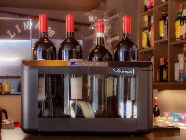 Cave à vin 5 bouteilles / 4 Magnums – Wibox 4 M - Vins Rouges Harmonieux pour Chaque Occasion