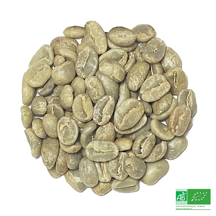 Café vert Pérou – Quillabamba – Llama BIO - Vins Rouges Harmonieux pour Chaque Occasion Café vert Pérou – Quillabamba – Llama BIO - Vins Rouges Harmonieux pour Chaque Occasion