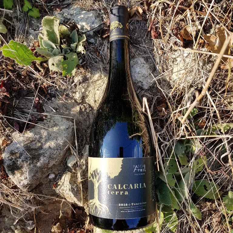 Calcaria Terra 2017 – Domaine de Touraine - Vins Rouges Harmonieux pour Chaque Occasion Calcaria Terra 2017 – Domaine de Touraine - Vins Rouges Harmonieux pour Chaque Occasion
