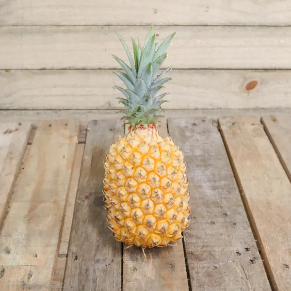 Ananas Victoria - Vins Rouges Harmonieux pour Chaque Occasion Ananas Victoria - Vins Rouges Harmonieux pour Chaque Occasion
