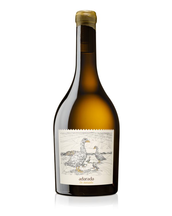 Adorado, Rueda, Espagne - Vins Rouges Harmonieux pour Chaque Occasion