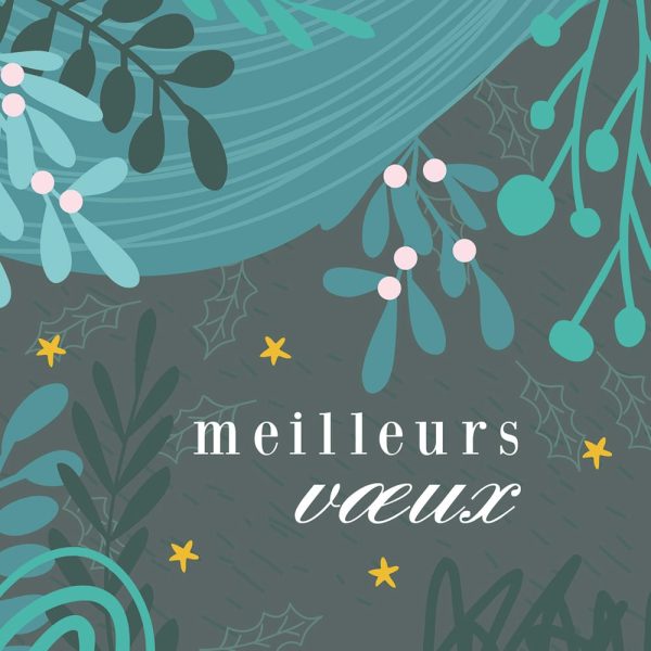 Carte Meilleurs vœux verte N°3 - Vins Rouges Harmonieux pour Chaque Occasion