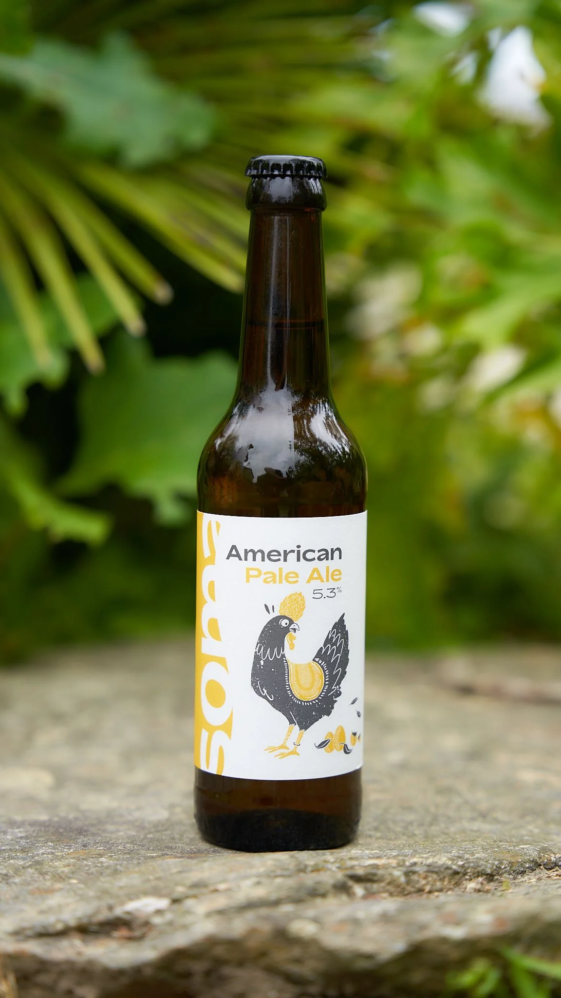 Blonde⎜American Pale Ale – 5,3%⎢Bio? - Vins Rouges Harmonieux pour Chaque Occasion Blonde⎜American Pale Ale – 5,3%⎢Bio? - Vins Rouges Harmonieux pour Chaque Occasion