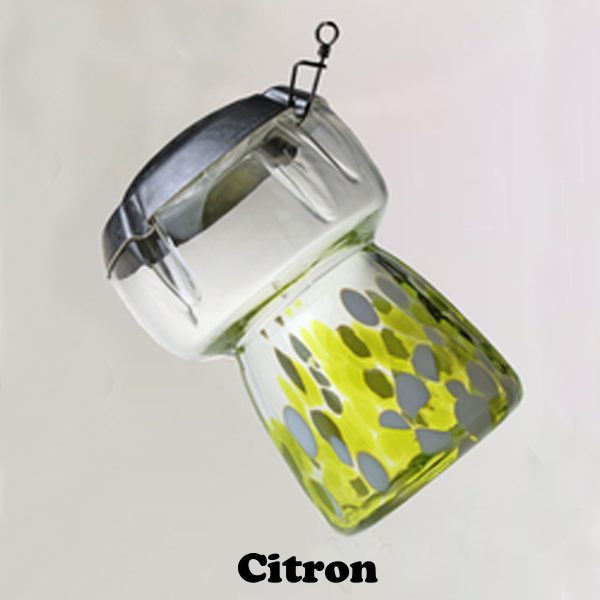 Bouchon de Champagne Citron 9,5 cm - Vins Rouges Harmonieux pour Chaque Occasion