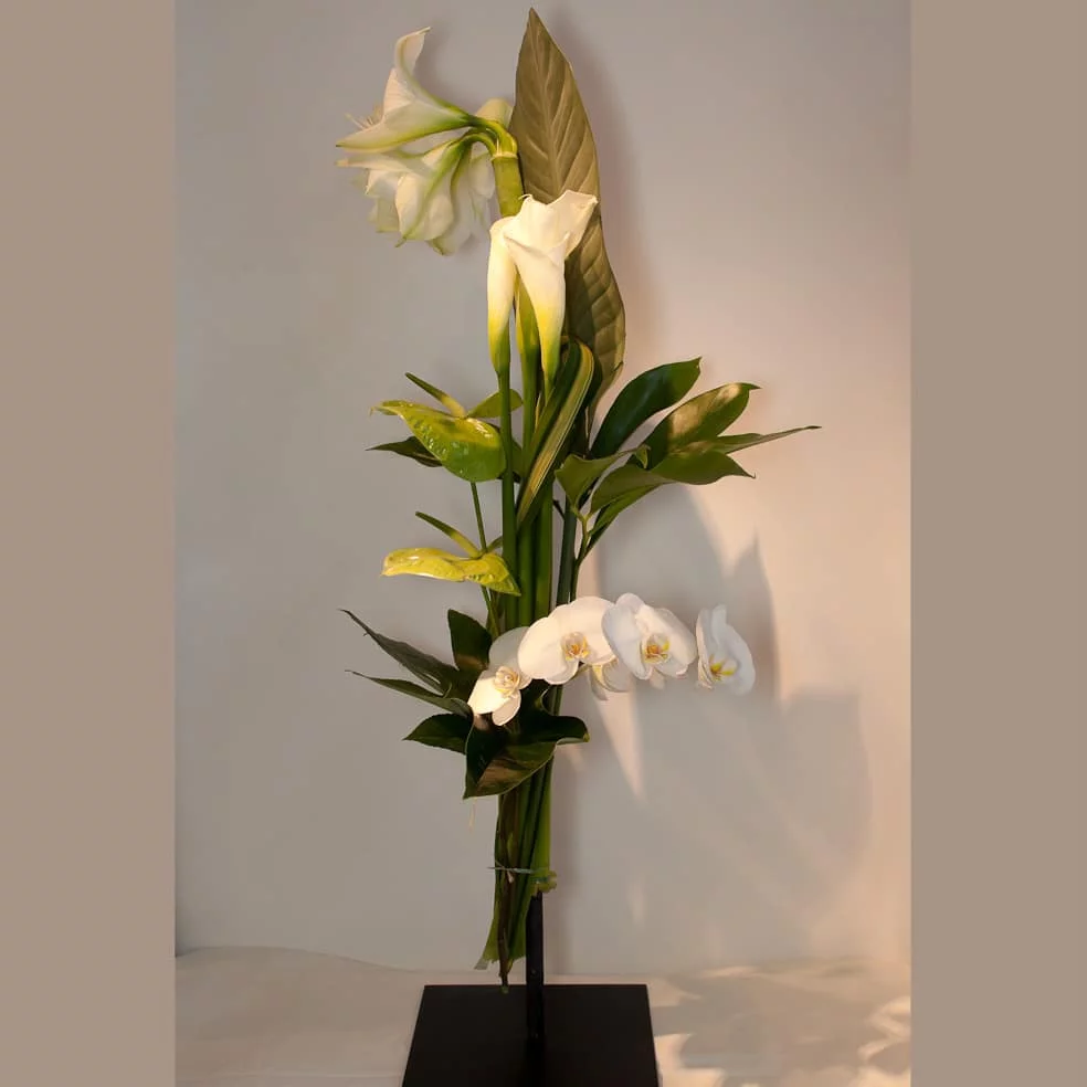 Bouquet Hauteur Graphique Blanc et Vert - Vins Rouges Harmonieux pour Chaque Occasion Bouquet Hauteur Graphique Blanc et Vert - Vins Rouges Harmonieux pour Chaque Occasion