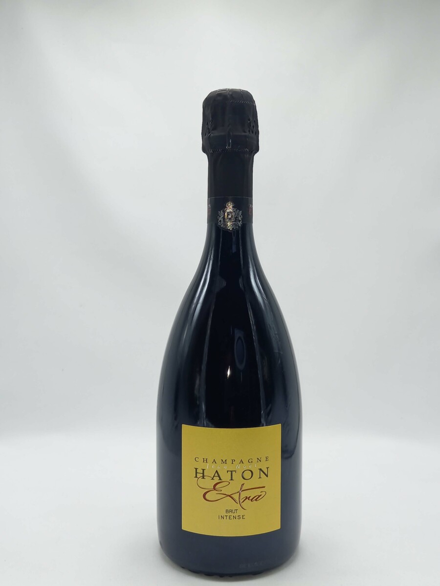 Brut Extra - Vins Rouges Harmonieux pour Chaque Occasion Brut Extra - Vins Rouges Harmonieux pour Chaque Occasion