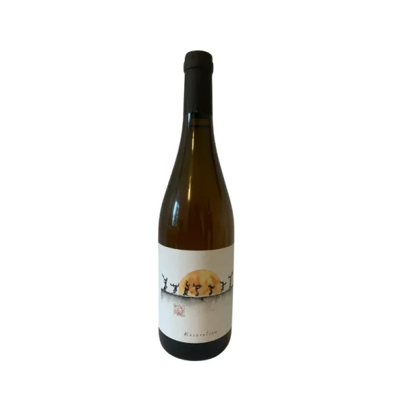 Cévennes Domaine du Brusquié Macération 2023 - Vins Rouges Harmonieux pour Chaque Occasion