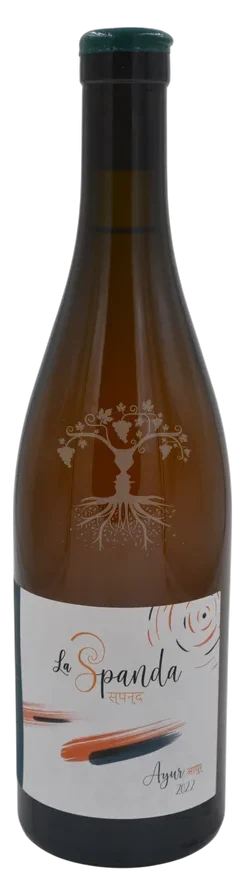 Ayur - Vins Rouges Harmonieux pour Chaque Occasion Ayur - Vins Rouges Harmonieux pour Chaque Occasion