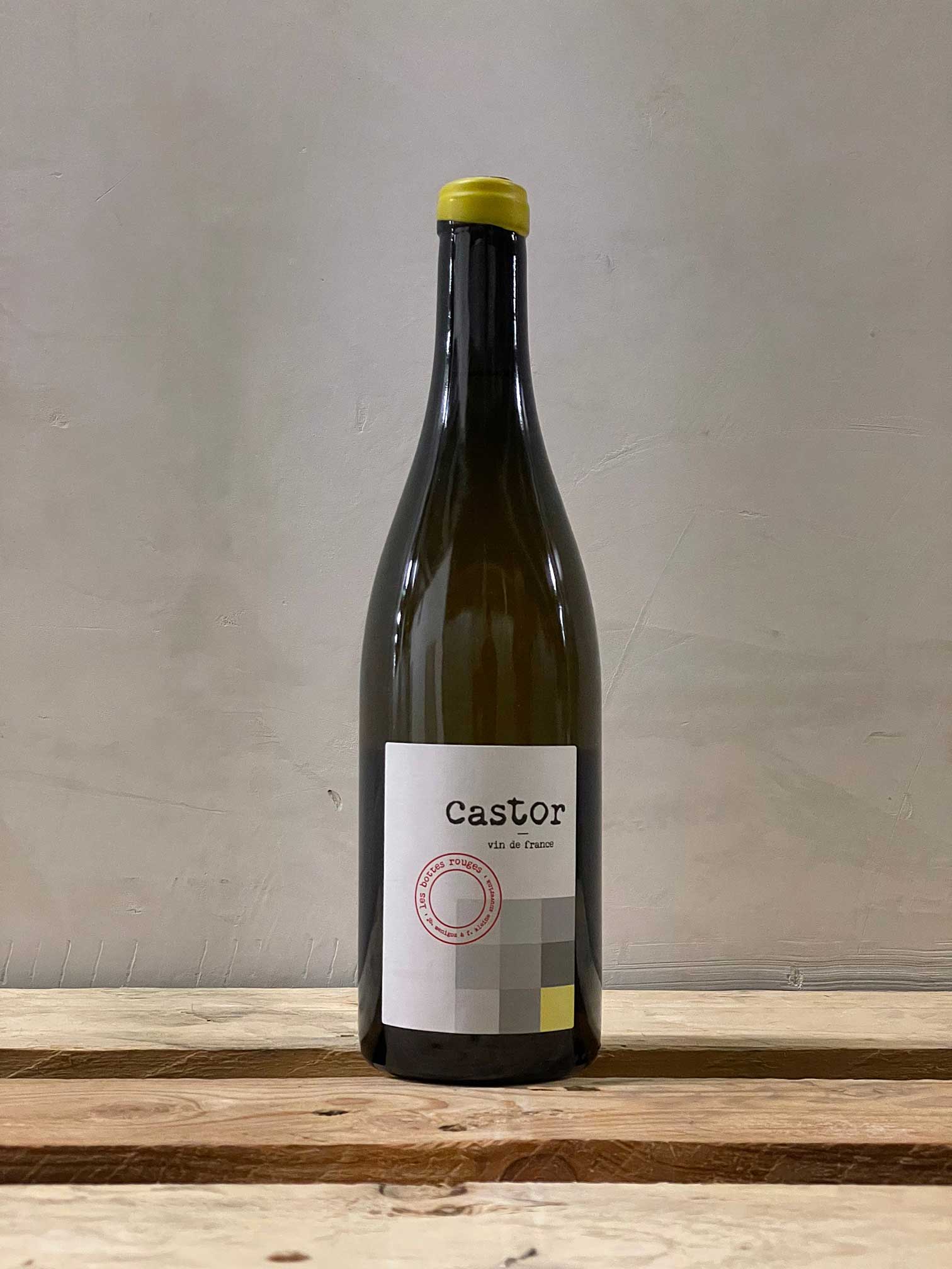 Castor 2020 - Vins Rouges Harmonieux pour Chaque Occasion Castor 2020 - Vins Rouges Harmonieux pour Chaque Occasion