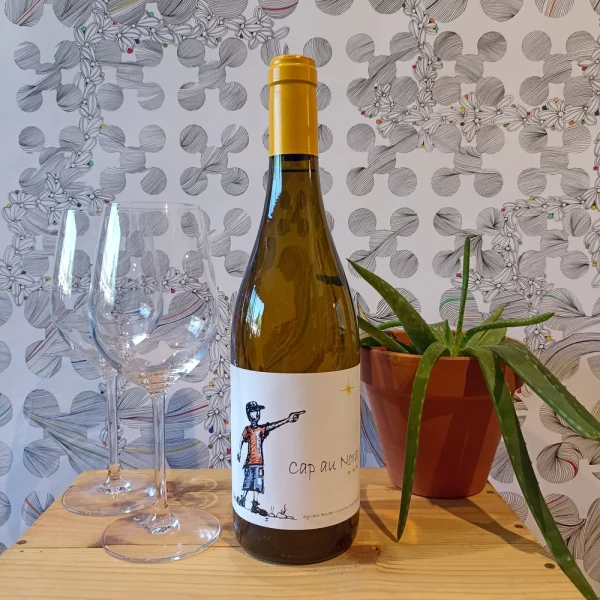 Cap au Nord Clairette de Bellegarde 2023 blanc Clos des Boutes - Vins Rouges Harmonieux pour Chaque Occasion
