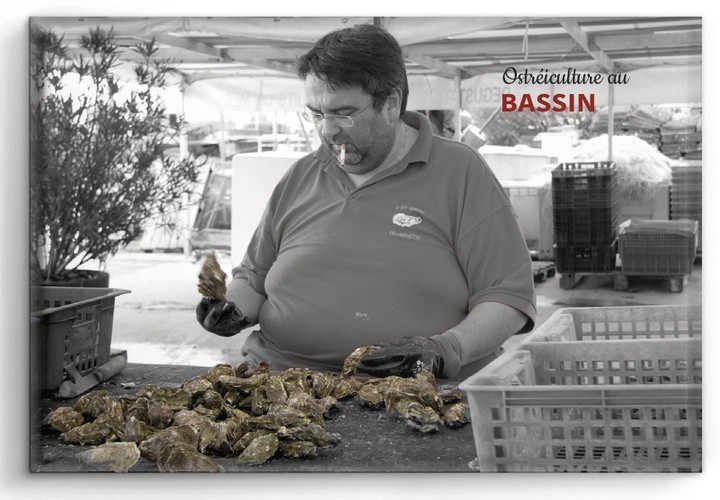 Bordeaux aimant/magnet Ostréiculture au BASSIN - Vins Rouges Harmonieux pour Chaque Occasion Bordeaux aimant/magnet Ostréiculture au BASSIN - Vins Rouges Harmonieux pour Chaque Occasion